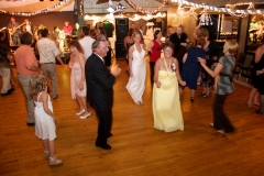 Bride-Guests-Dancing-Reception